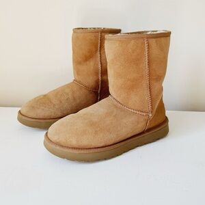 classic ugg boots in chestnut